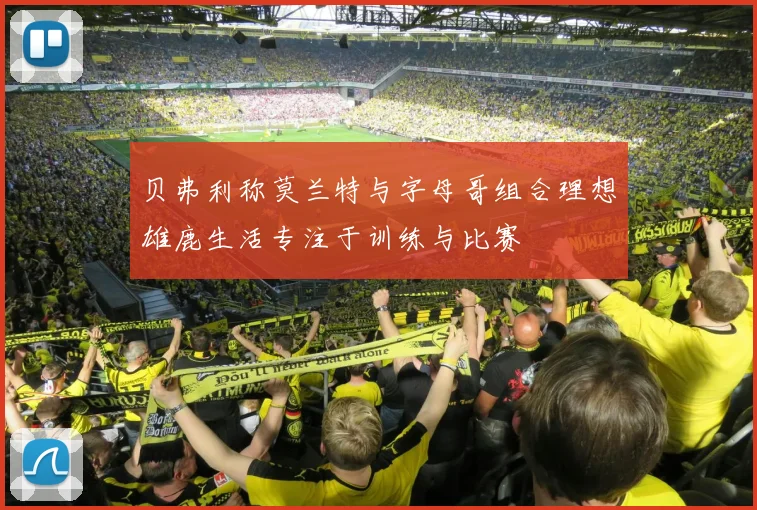 贝弗利称莫兰特与字母哥组合理想雄鹿生活专注于训练与比赛